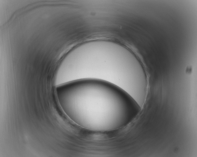 X0000114690154200910211102