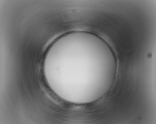 X0000114690155200910211102