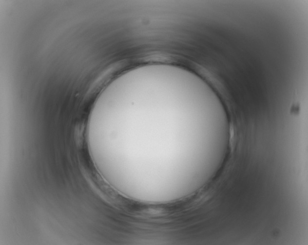 X0000114690157200910211102
