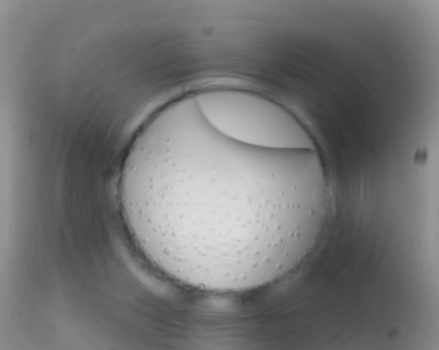 X0000114690159200910211102