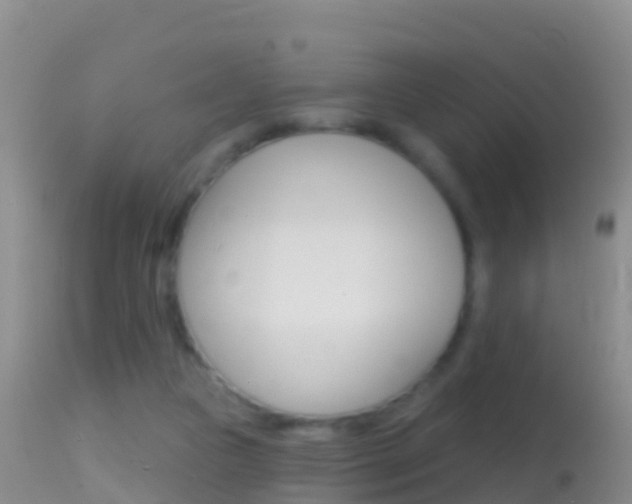 X0000114690161200910211102