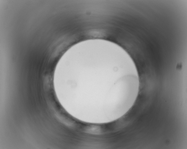X0000114690162200910211102