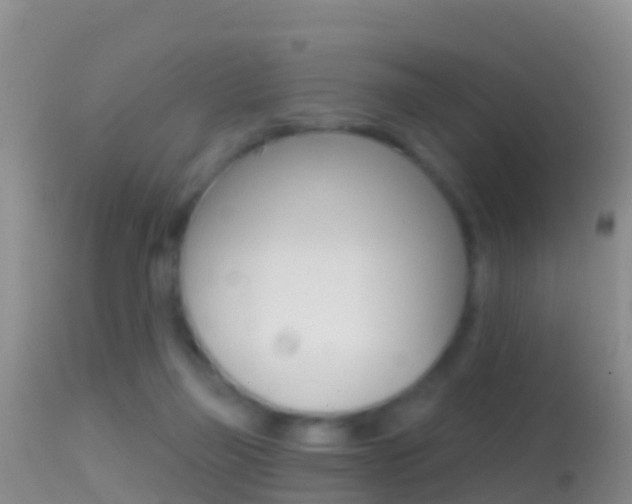 X0000114690165200910211102