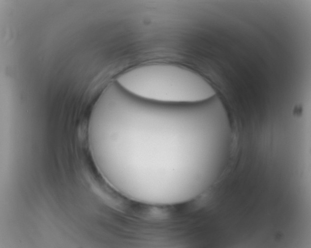 X0000114690166200910211102