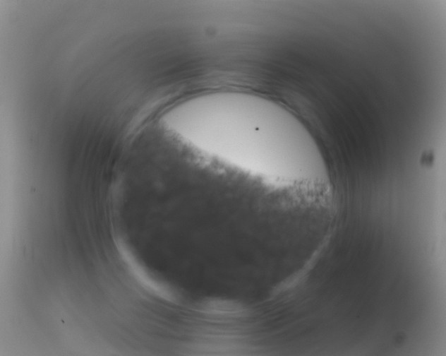 X0000114690167200910211102