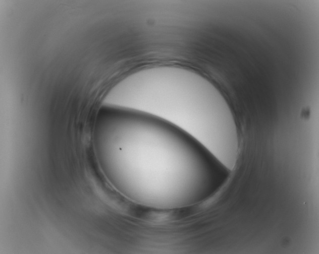 X0000114690170200910211102