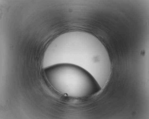 X0000114690174200910211102