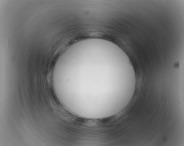 X0000114690175200910211102