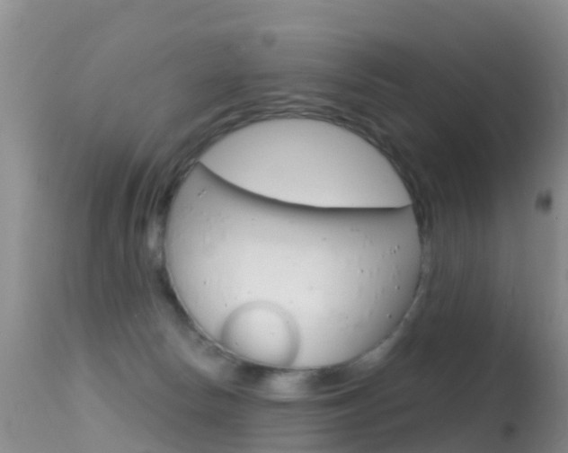 X0000114690178200910211102