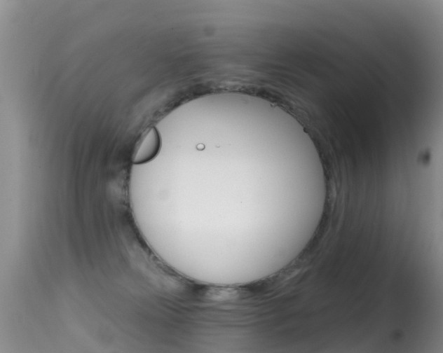 X0000114690181200910211102