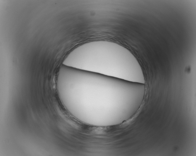 X0000114690182200910211102