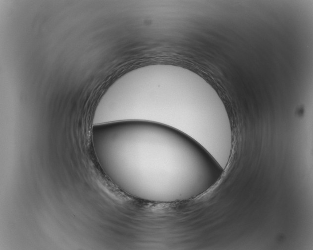 X0000114690186200910211102
