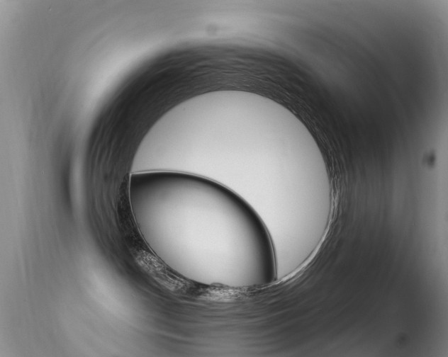 X0000114690190200910211102