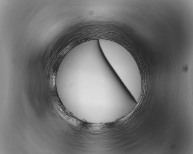 X0000114690191200910211102
