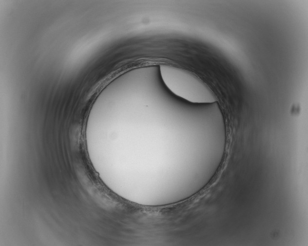 X0000114690194200910211102