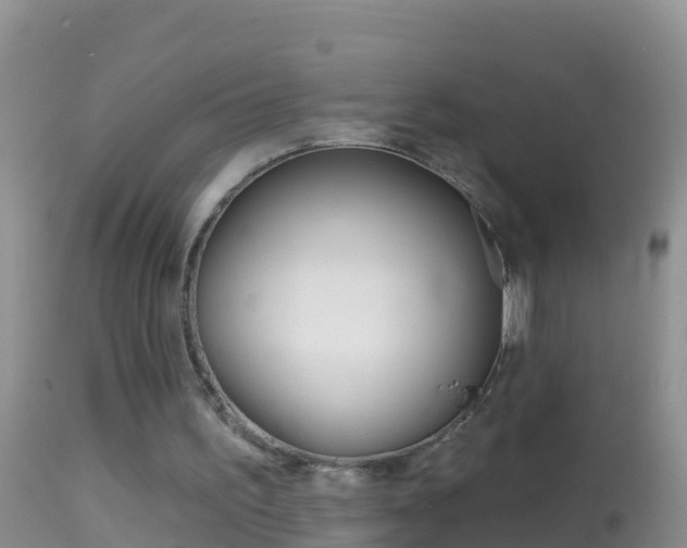 X0000114690195200910211102
