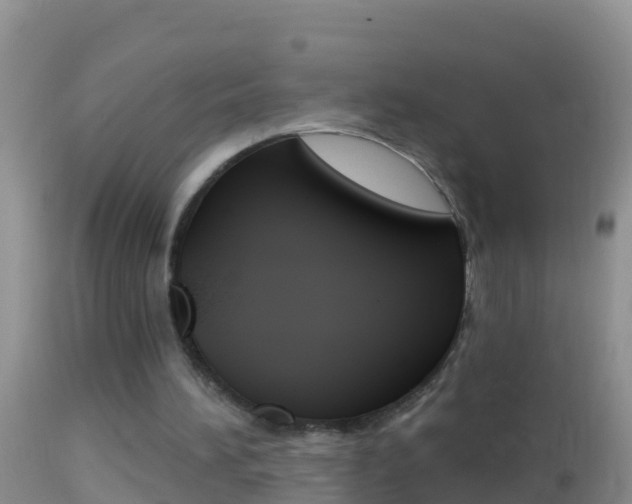 X0000114690196200910211102