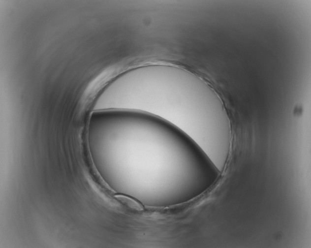 X0000114690197200910211102
