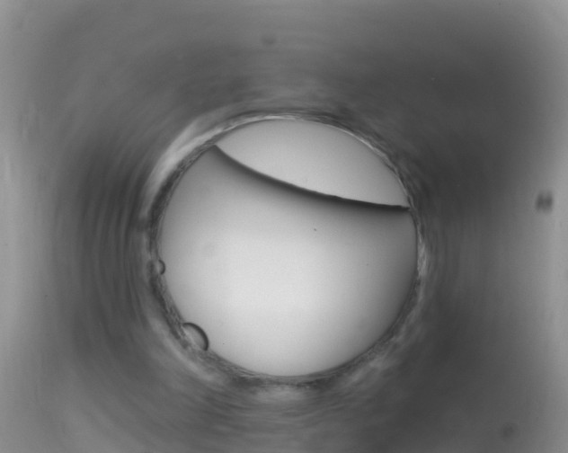 X0000114690198200910211102