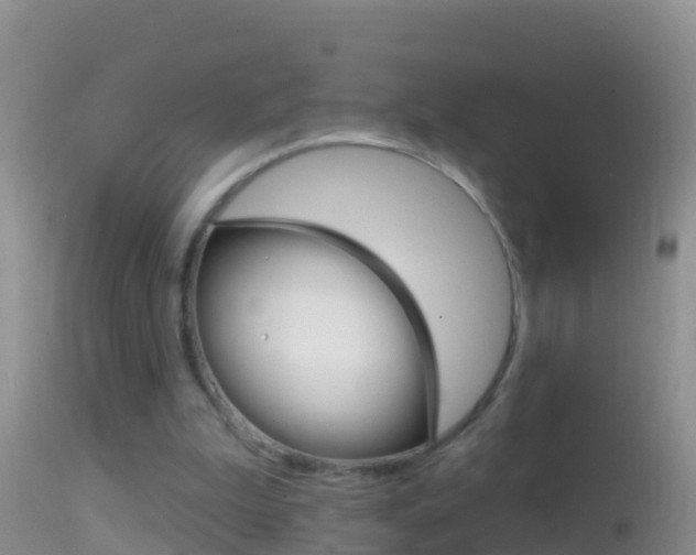 X0000114690199200910211102