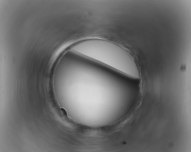 X0000114690200200910211102