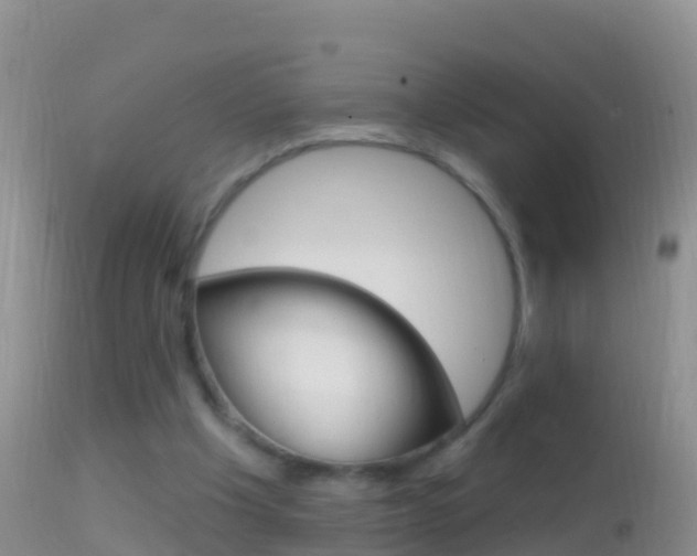 X0000114690201200910211102