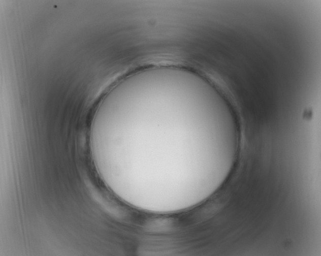 X0000114690202200910211102
