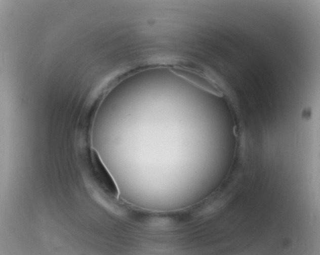 X0000114690203200910211102