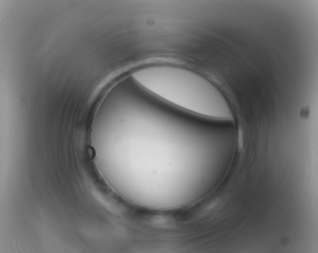 X0000114690204200910211102