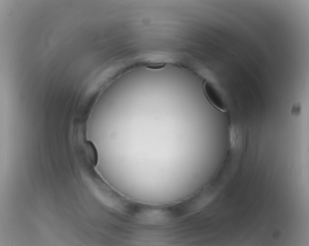 X0000114690205200910211102