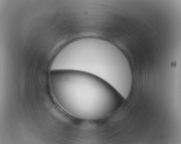 X0000114690207200910211101