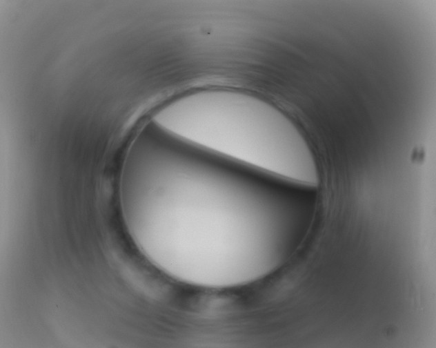 X0000114690208200910211101