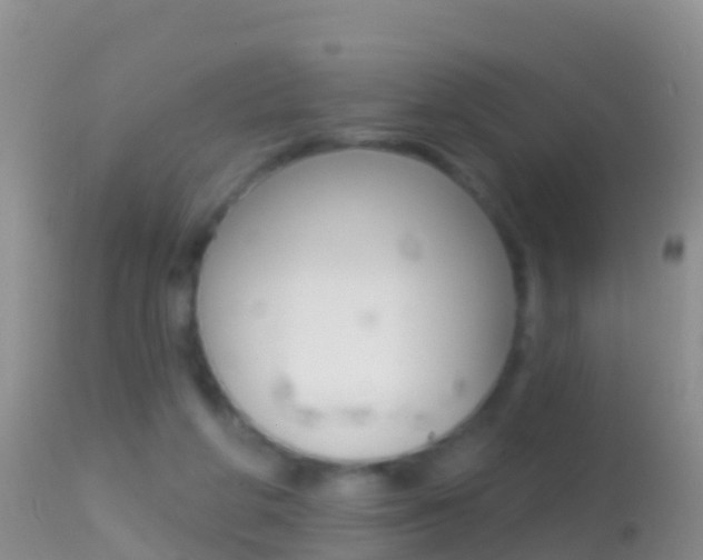 X0000114690210200910211101