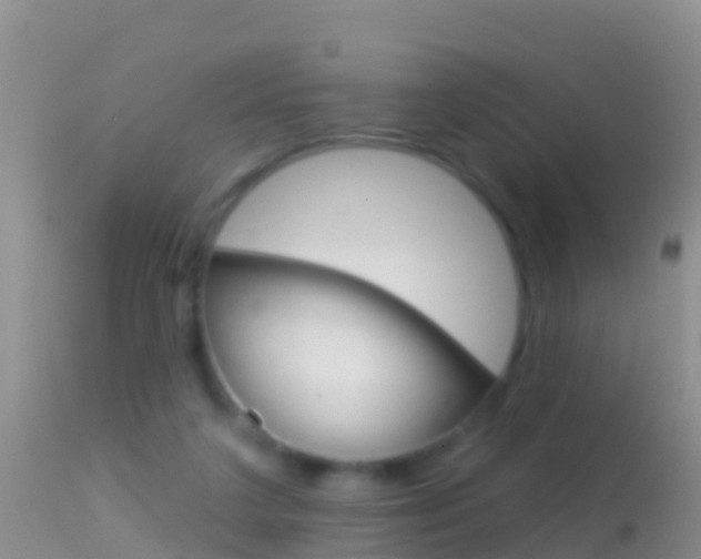 X0000114690211200910211101
