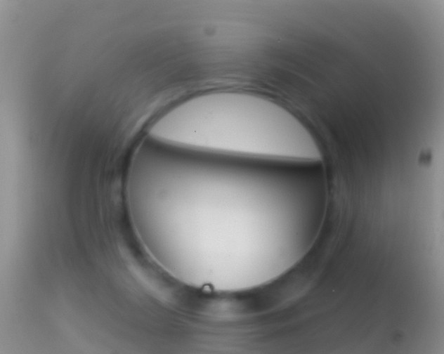 X0000114690212200910211101