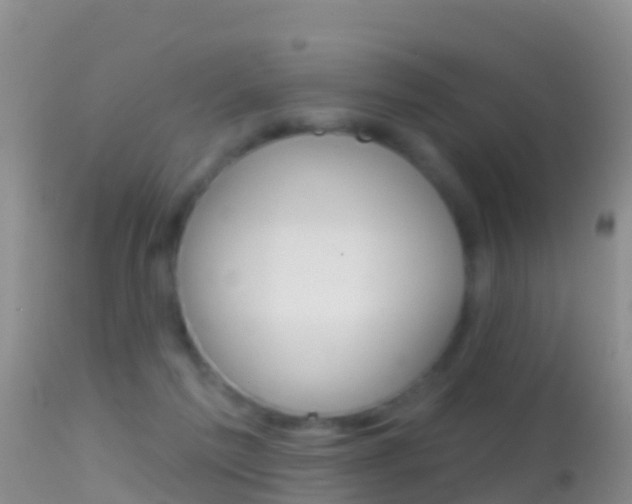 X0000114690213200910211101