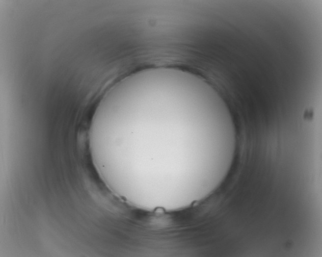 X0000114690214200910211101