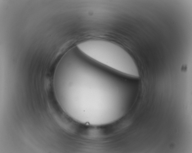 X0000114690216200910211101