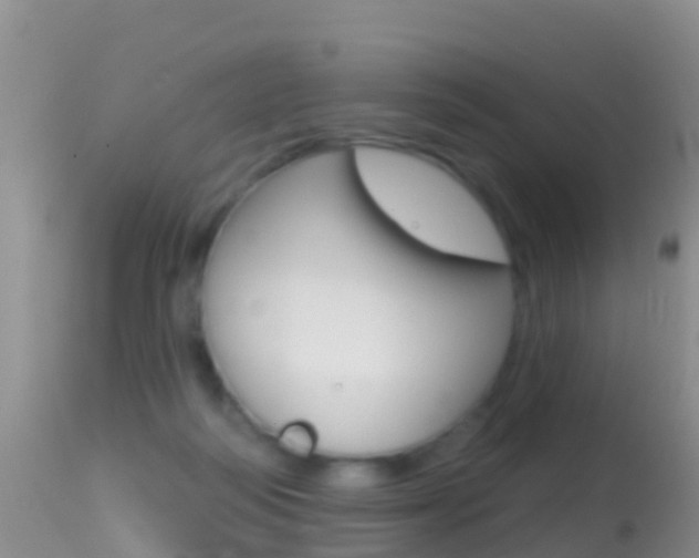 X0000114690218200910211101