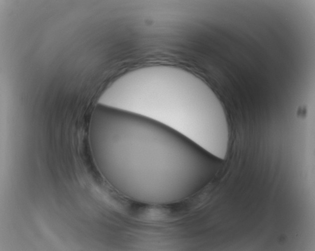 X0000114690223200910211101