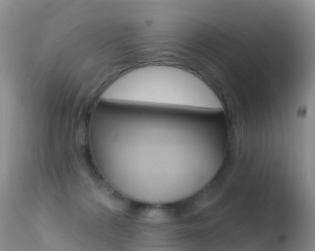 X0000114690224200910211101