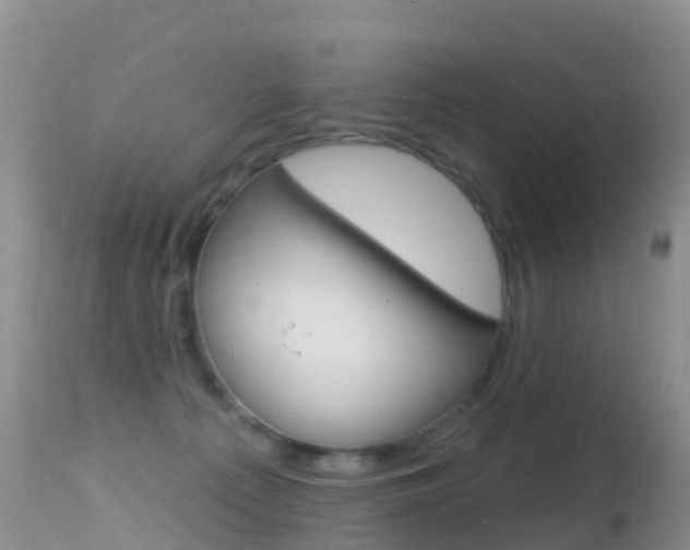 X0000114690225200910211101