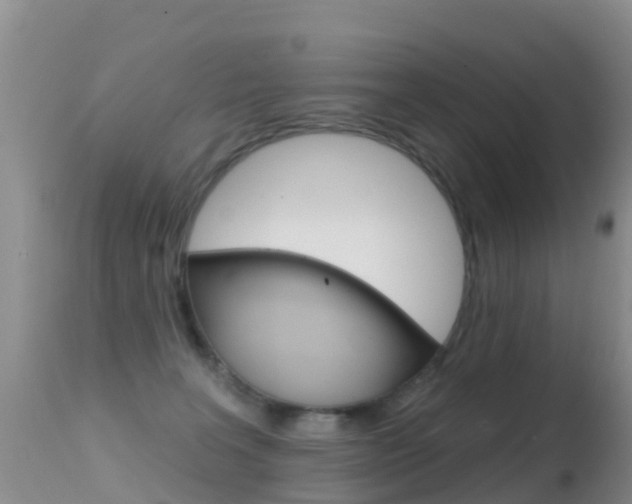 X0000114690227200910211101