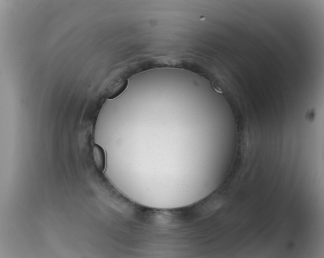 X0000114690229200910211101