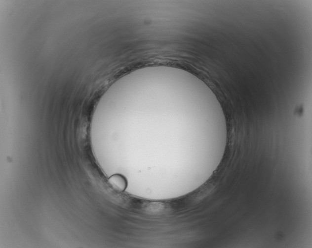 X0000114690230200910211101