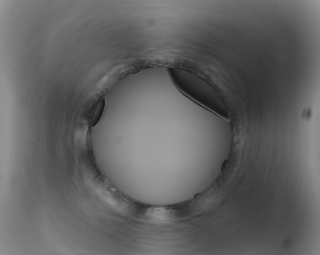 X0000114690231200910211101