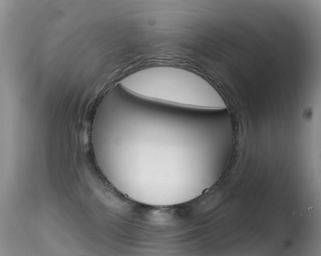 X0000114690232200910211101