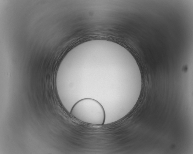 X0000114690233200910211101