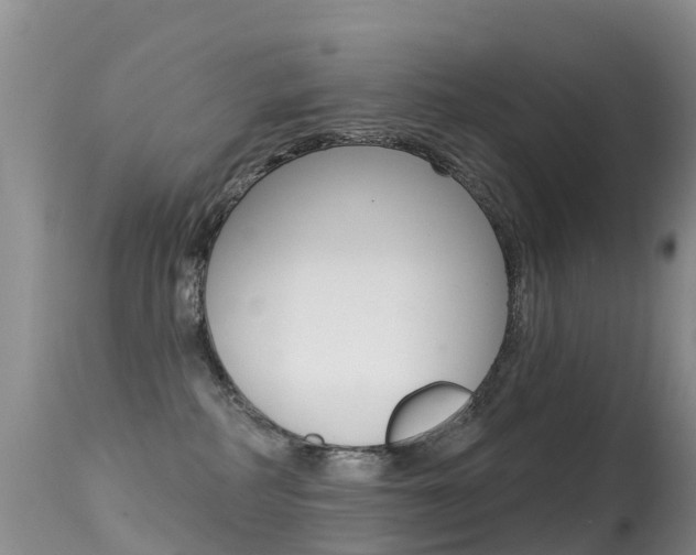 X0000114690234200910211101