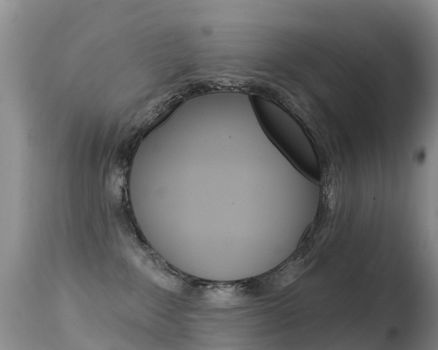 X0000114690235200910211101